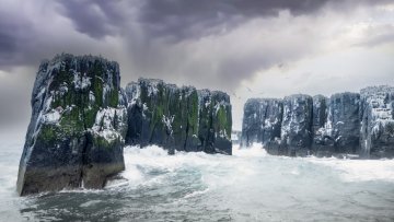 Farne Island rocks