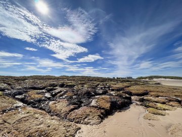 low tide on Seahouses Beach
